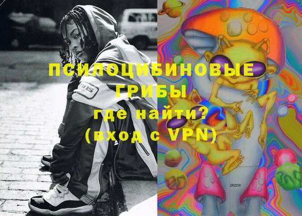 сатива Протвино