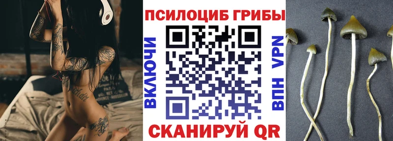 Купить закладки  Трубчевск  Псилоцибиновые грибы Psilocybine cubensis 